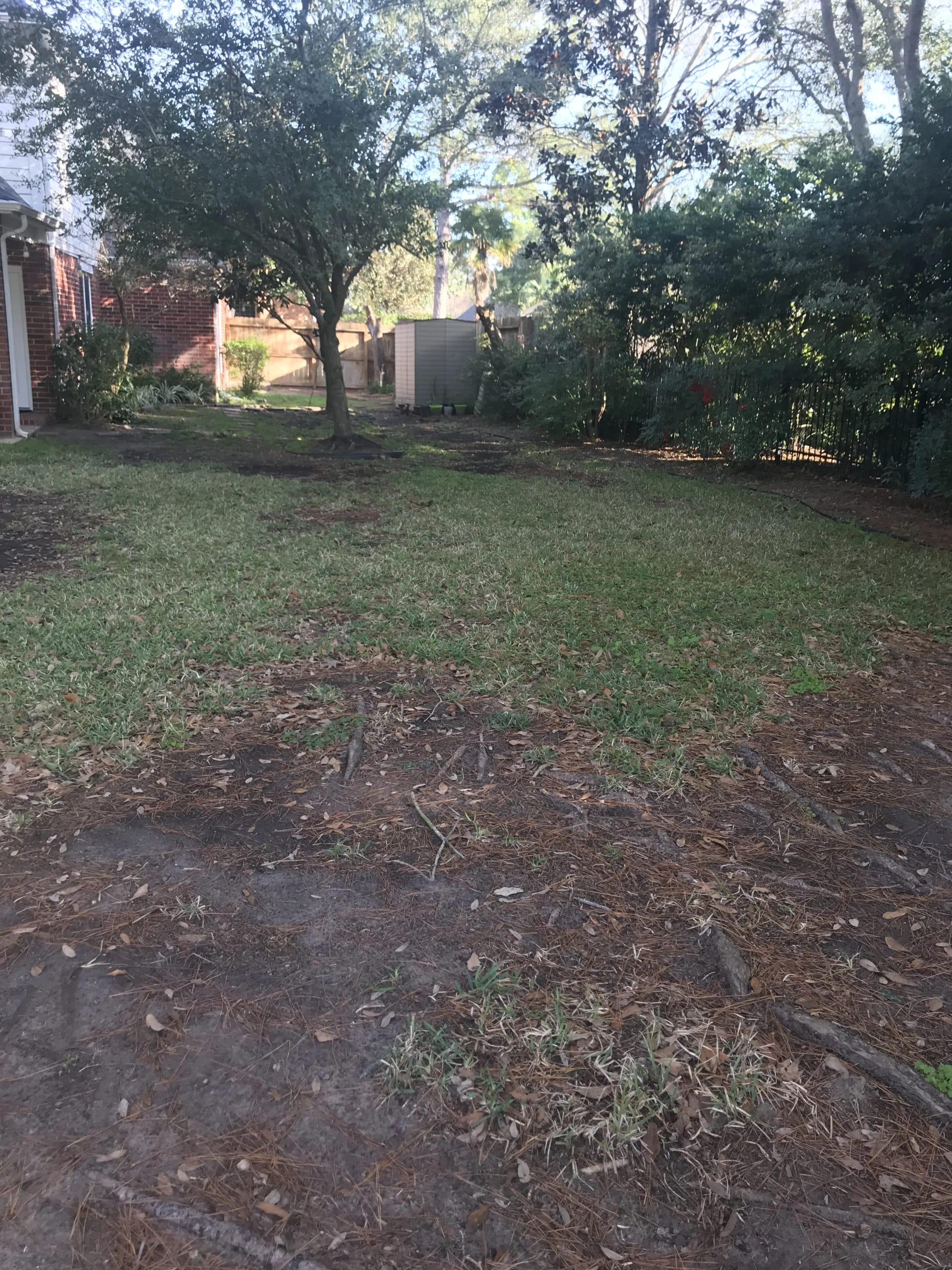 Before: Backyard Transformation