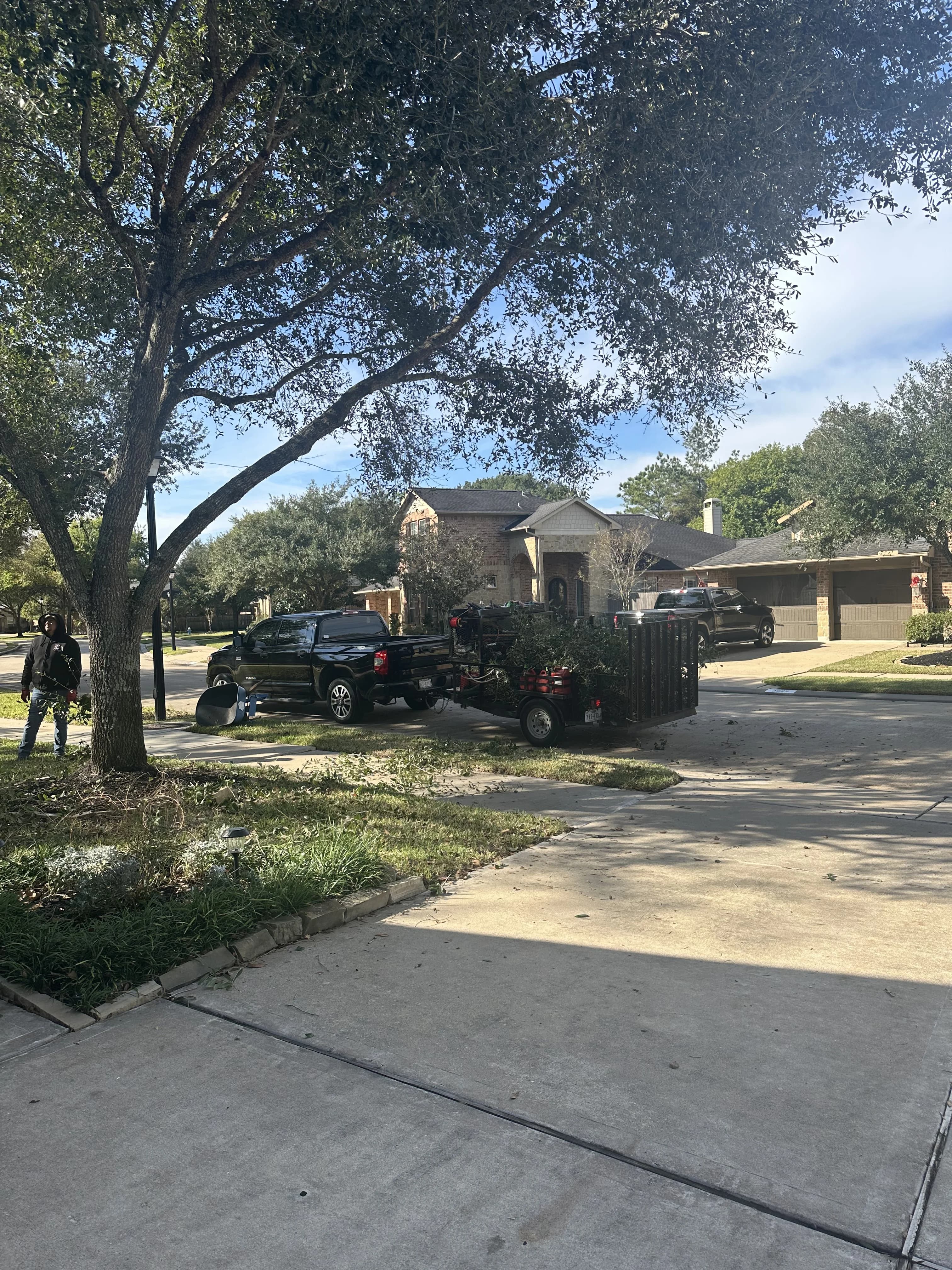 Landscaping project in Richmond