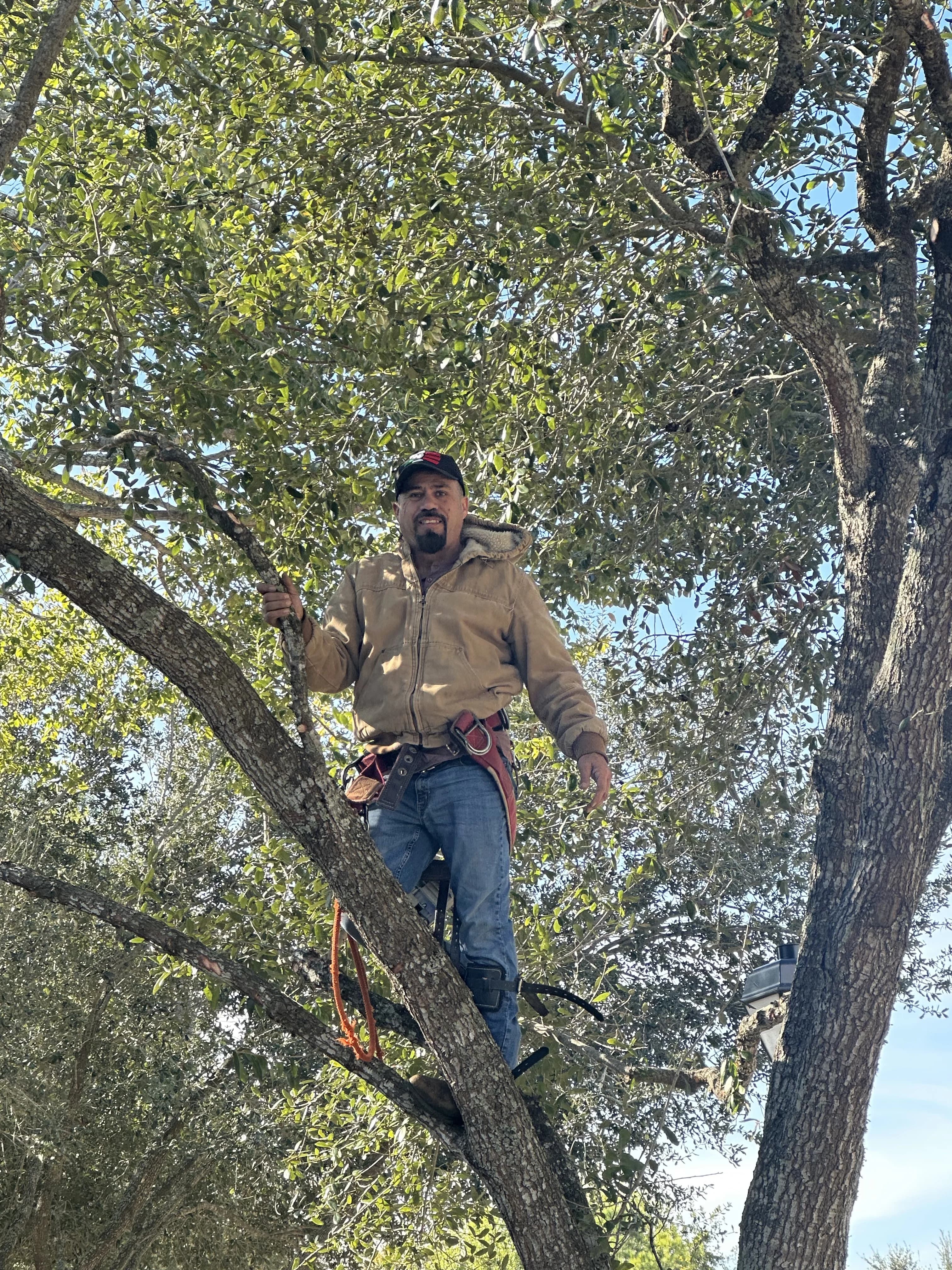 Moreno Landscaping project