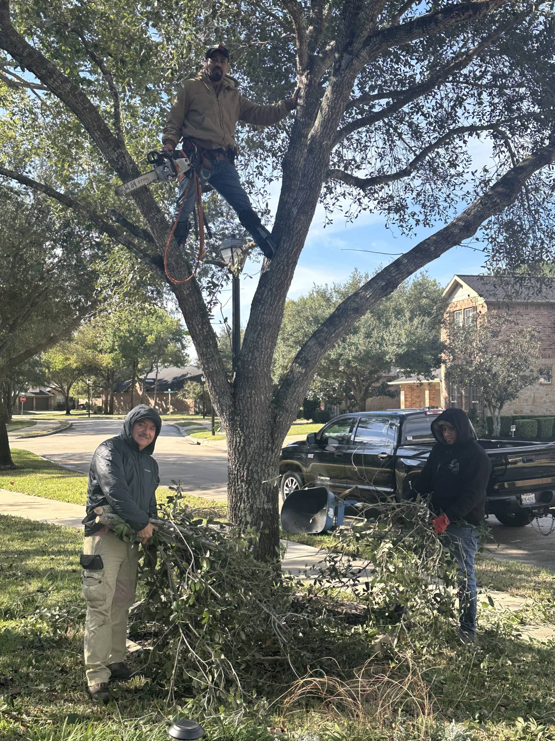 Beautiful landscaped lawn by Moreno Landscaping